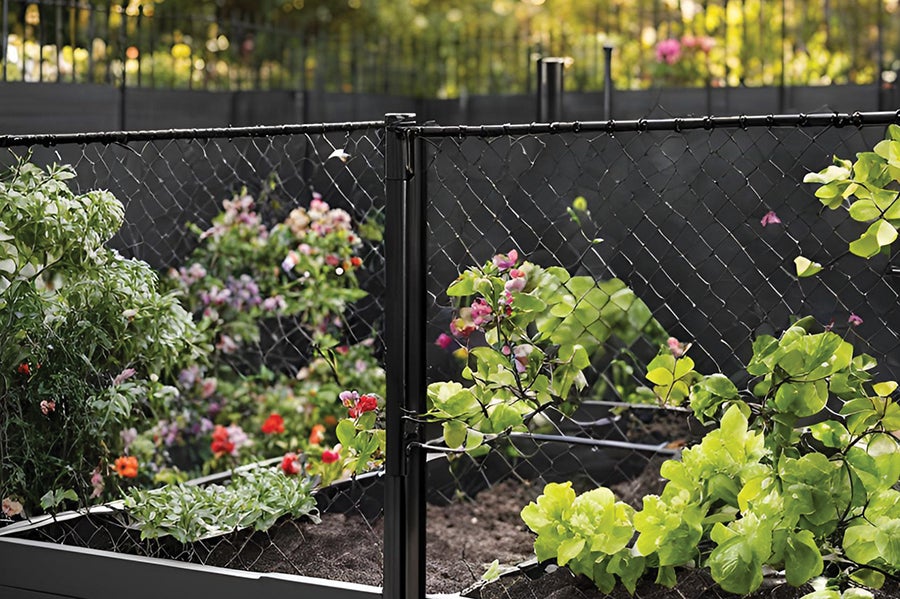 garden fence